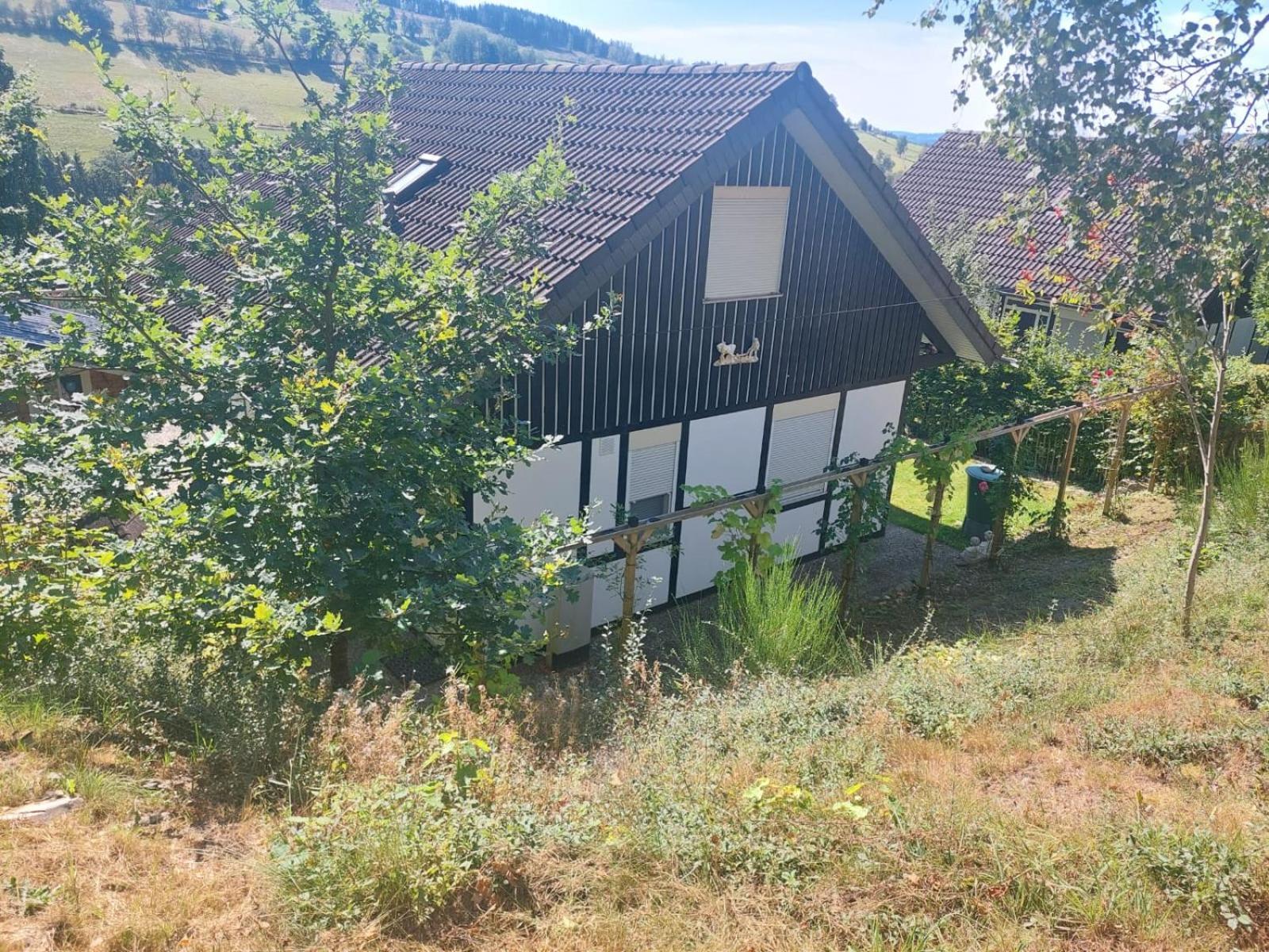 Das Waldhaus باد برلبورغ المظهر الخارجي الصورة